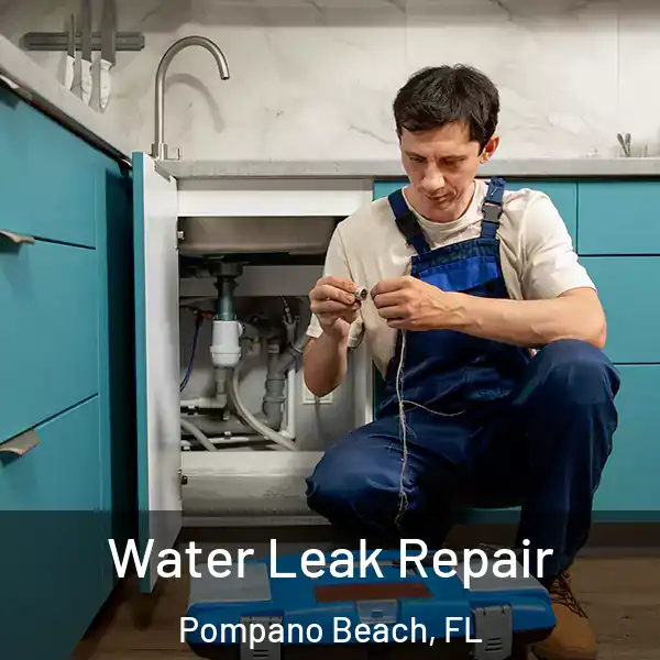  Water Leak Repair Pompano Beach, FL